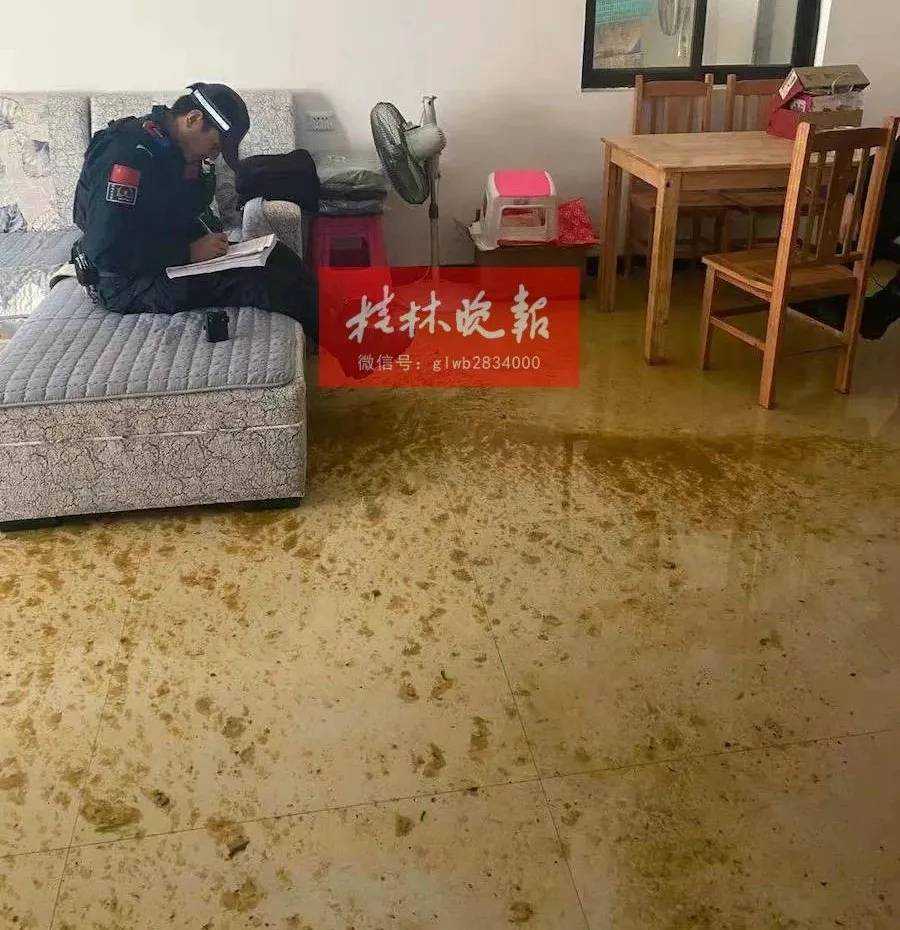 一开门，家里全是屎尿！桂林简女士遇上糟心事