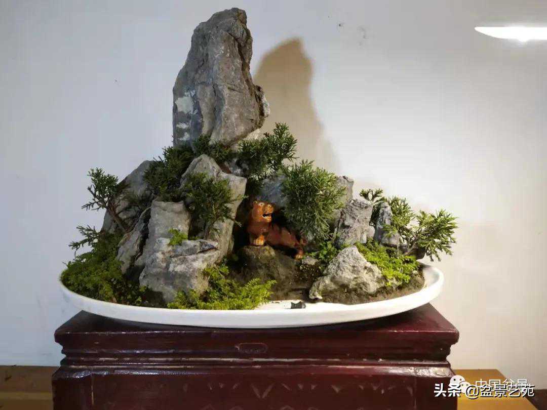 陈洪奎：瓷盘，可做盆景