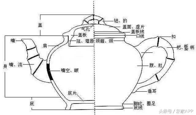 紫砂壶结构全图解，带你三分钟掌握最全紫砂壶样式