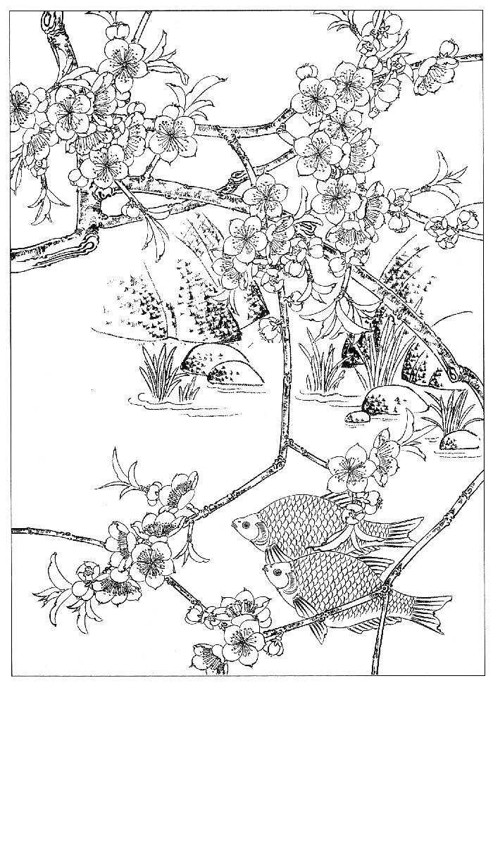 底稿分享 丨 工笔鱼白描图
