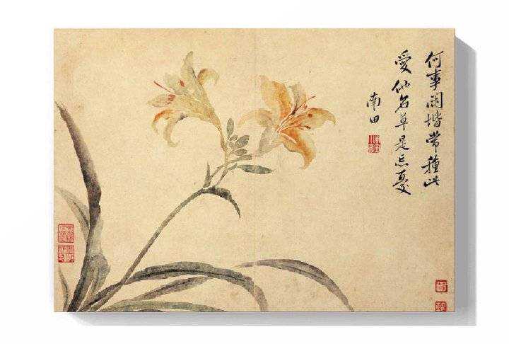 明丽简洁 天趣盎然——恽寿平花鸟画欣赏