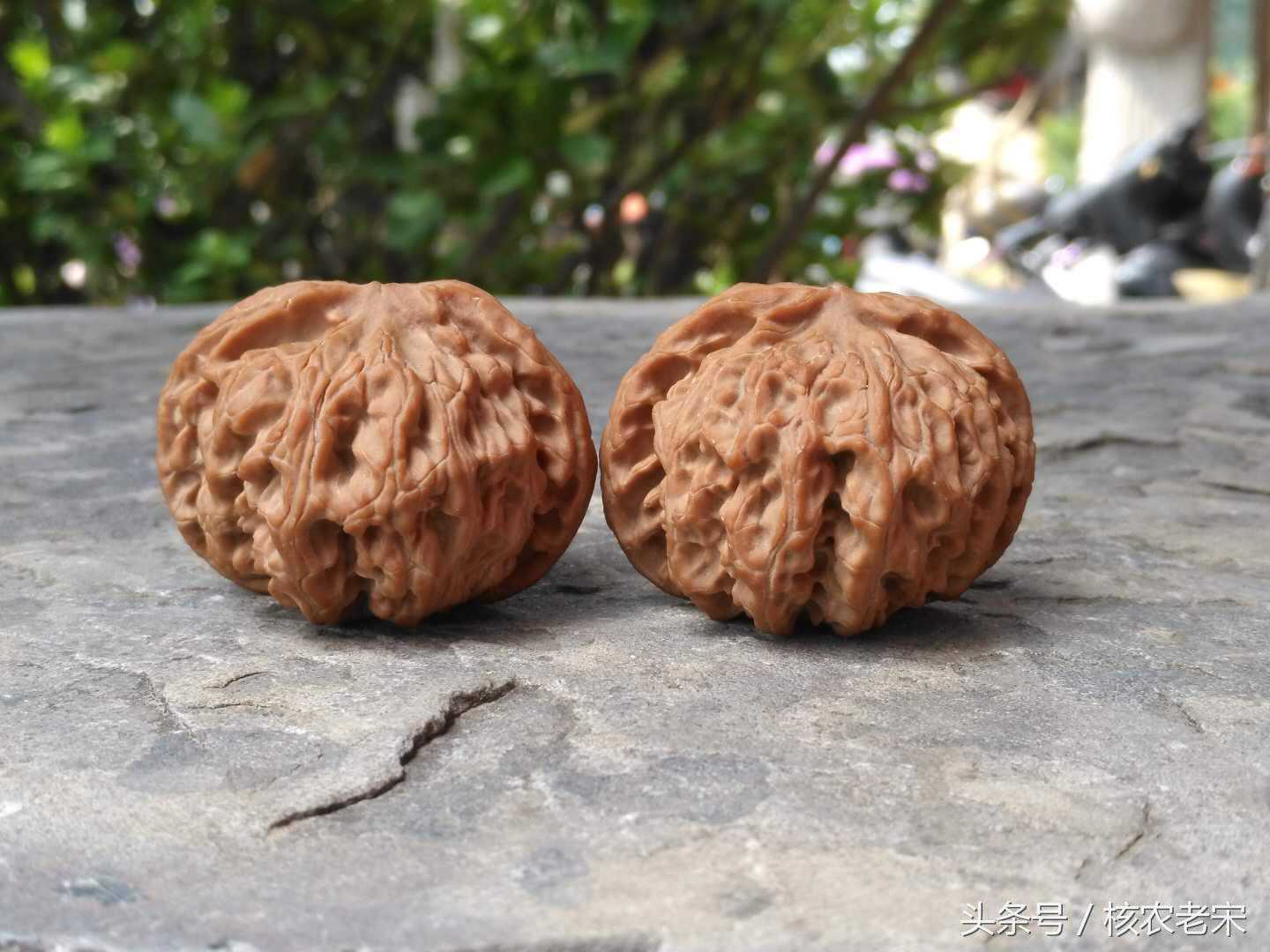 今年文玩核桃闷尖疯了，看看闷尖苹果园怎么样？