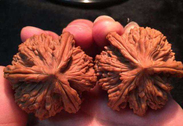 文玩核桃打底后的盘玩这点很重要