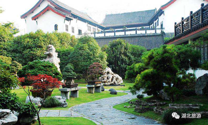 每日一景｜走进武汉中华奇石馆景区