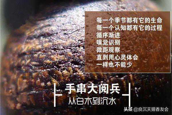 梁辰：从白木级到沉水级，沉香辨别有技巧