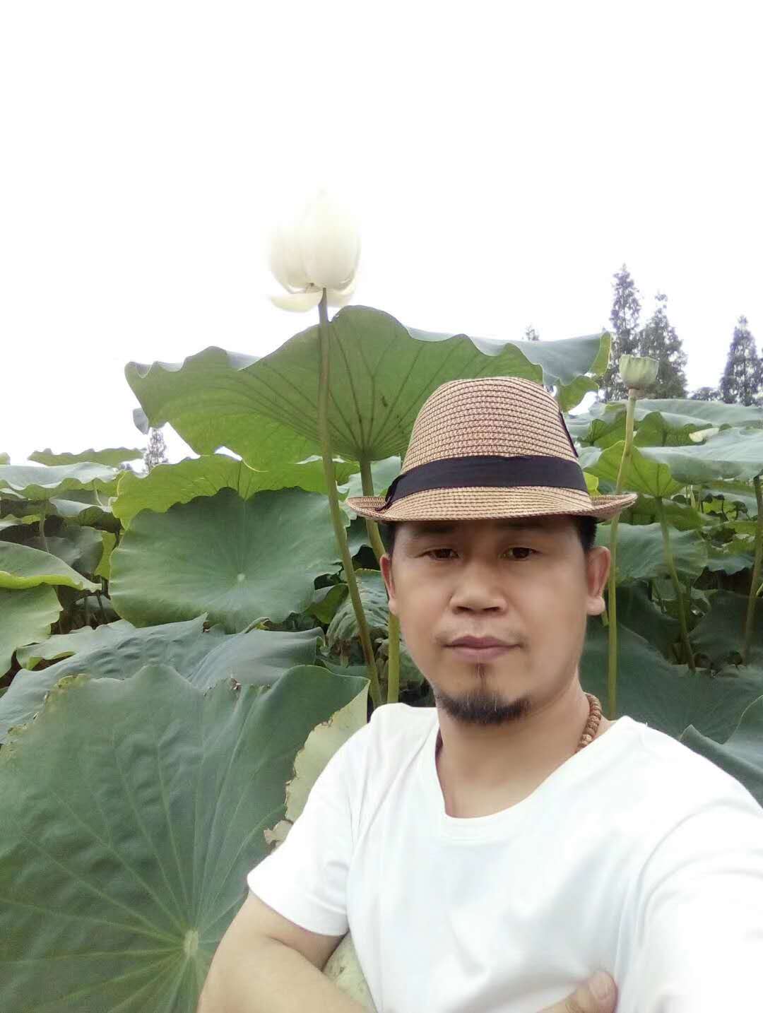 笔似巨椽写磐若 情如泊岸伴禅心