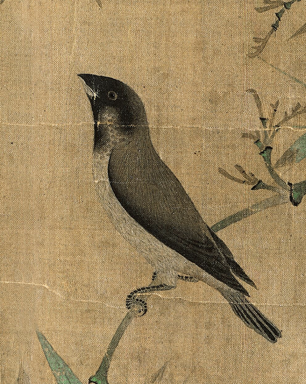 画竹禽哪家强