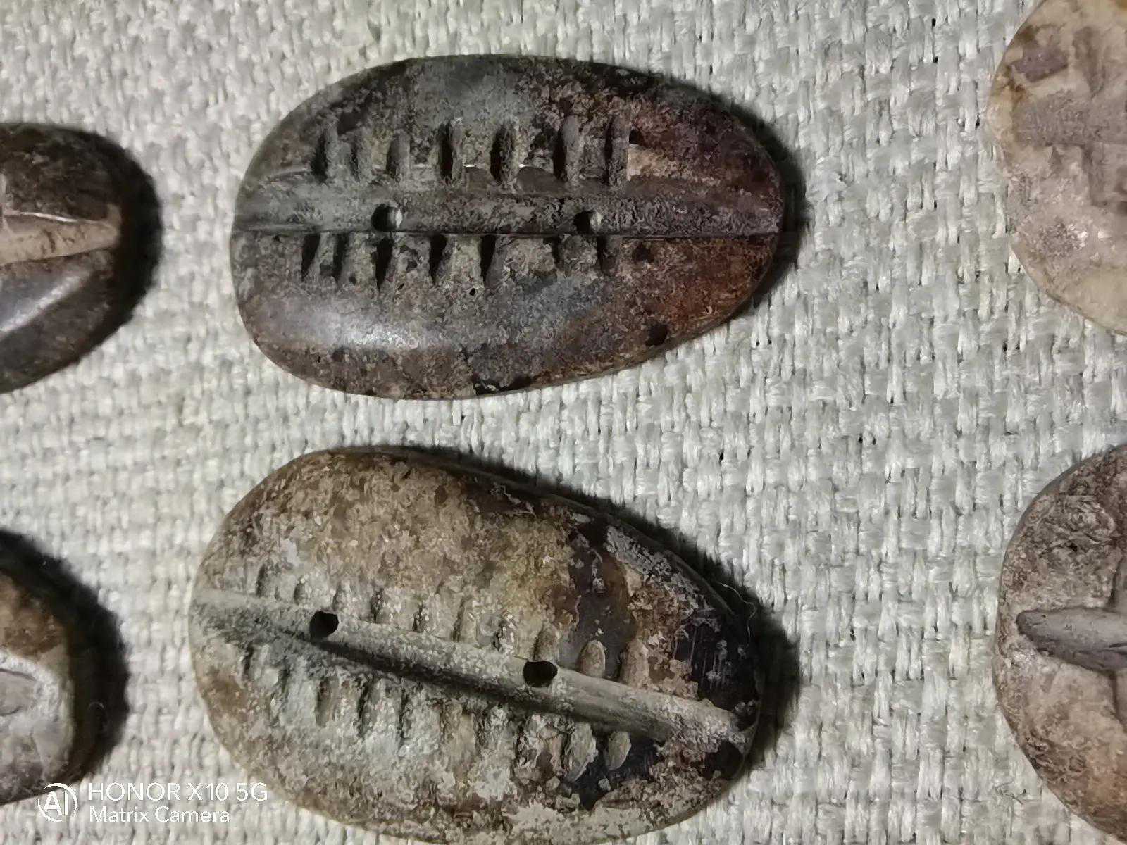 贝币、玉贝：从货币到饰物