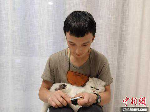 “90后”用木头雕画出“活鱼”猫见了都想吃一口