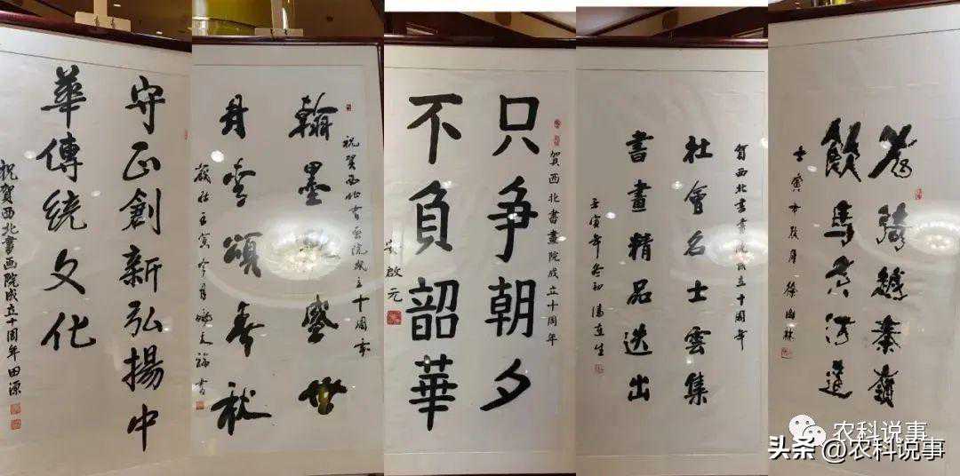 “西北书画院成立十周年”迎春活动圆满成功