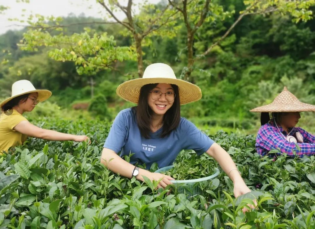 她的青春在基层绽放