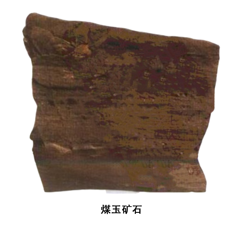 煤玉的属性与分布