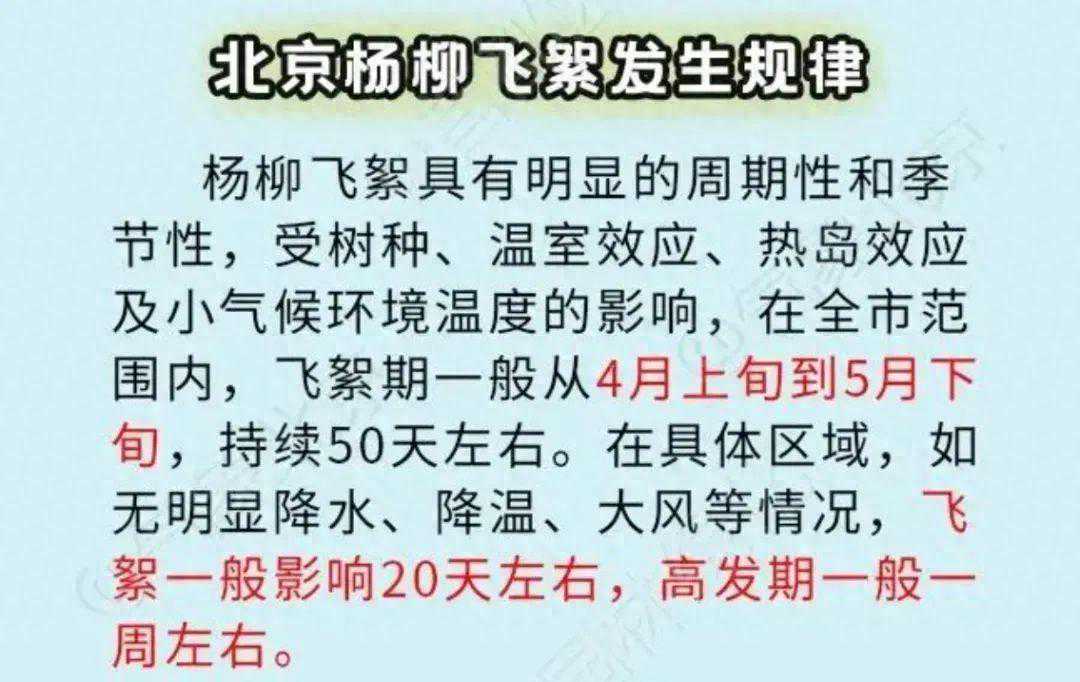 北方多地进入杨柳絮高发期！这些需警惕→