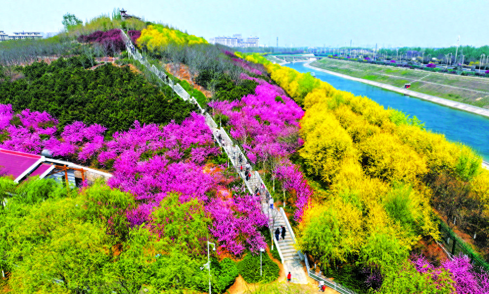 上榜央视！西柏坡跻身清明假期热门红色旅游景点