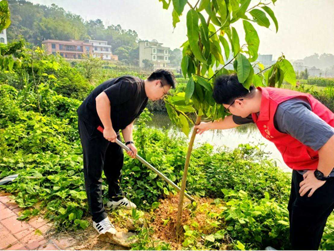 信宜市怀乡镇共青团开展植树护绿志愿服务活动