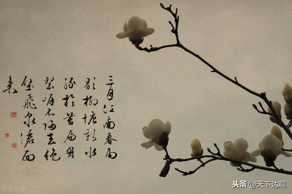 资治通鉴|第72卷 魏纪四 烈祖明皇帝中之上太和五年（辛亥、231）